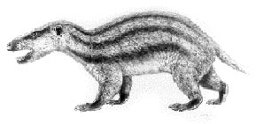 Gobiconodon