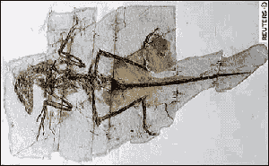 deinonychus