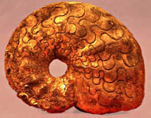 ceratite