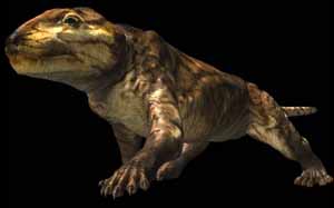 cynodonte